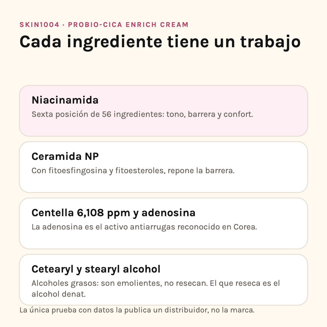 Ingredientes de SKIN1004 Probio-Cica Enrich Cream: niacinamida, ceramida NP, centella y alcoholes grasos