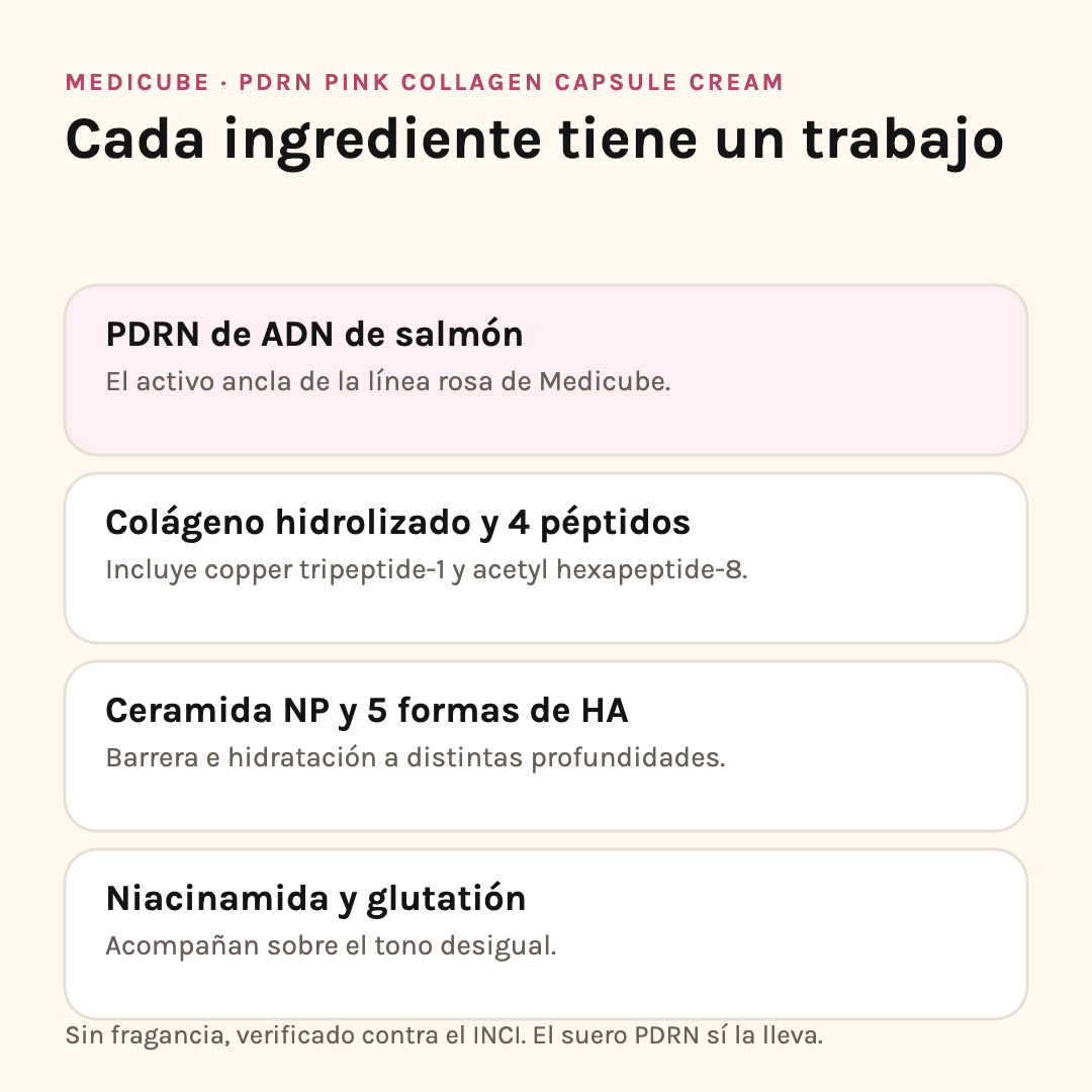 Ingredientes de la Medicube PDRN Capsule Cream: PDRN, colágeno y péptidos, ceramida NP, niacinamida y glutatión