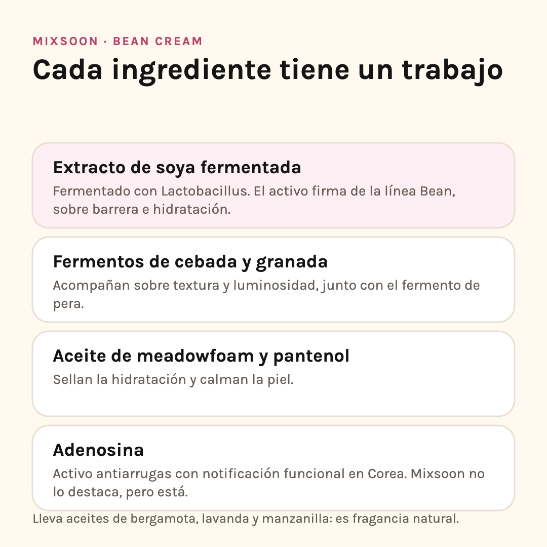 Ingredientes de Mixsoon Bean Cream: soya fermentada, fermentos de cebada y granada, meadowfoam y adenosina