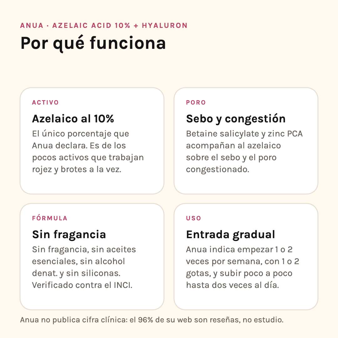 Por qué funciona Anua Azelaic Acid 10%: activo, trabajo sobre el poro, fórmula y entrada gradual
