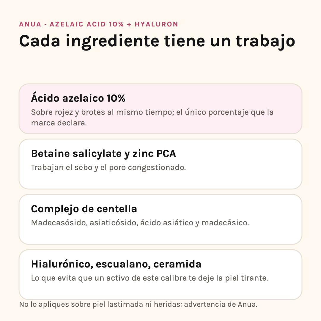 Ingredientes de Anua Azelaic Acid 10%: azelaico, betaine salicylate, zinc PCA, centella y ceramida