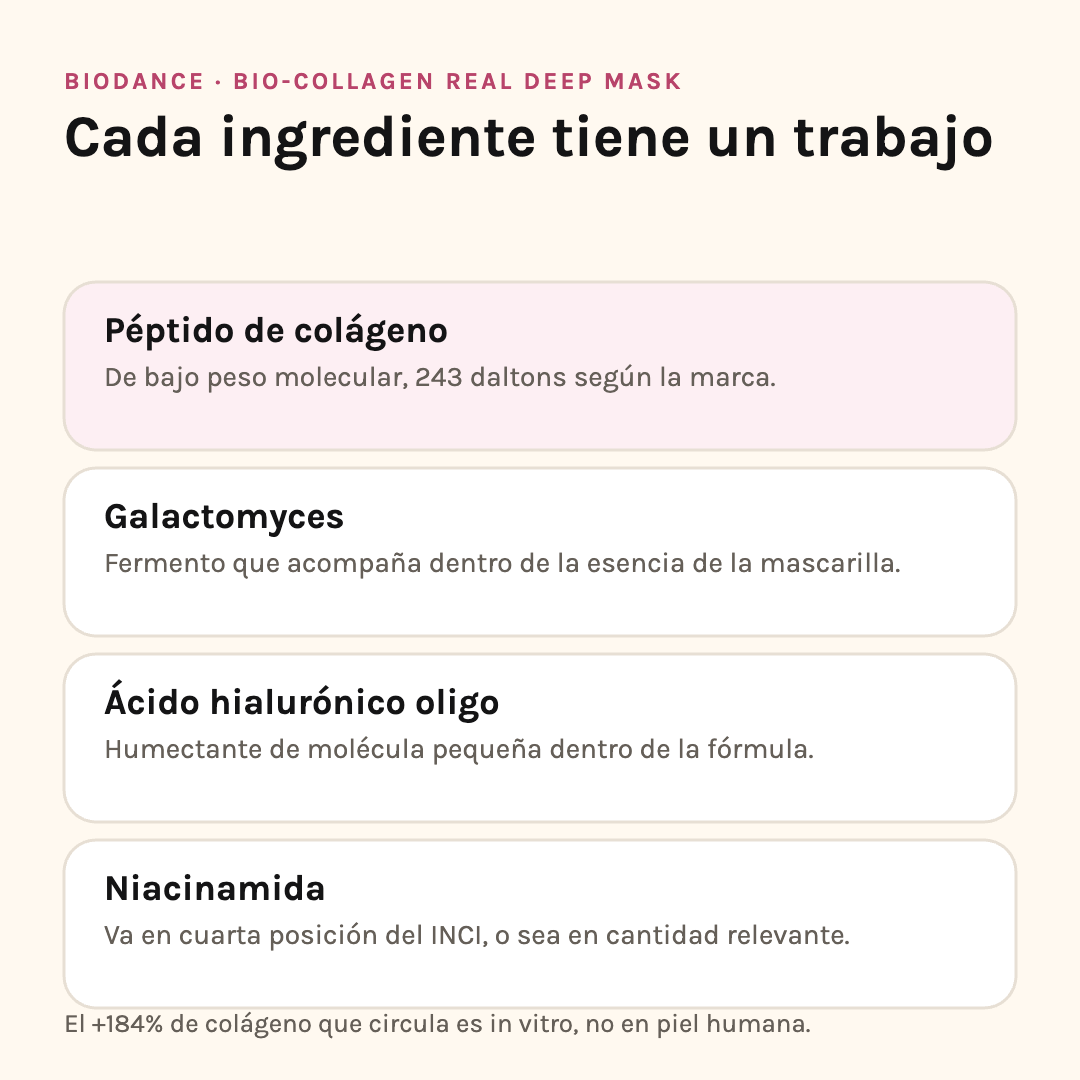 Ingredientes de la Biodance Bio-Collagen Mask: péptido de colágeno, galactomyces, hialurónico y niacinamida