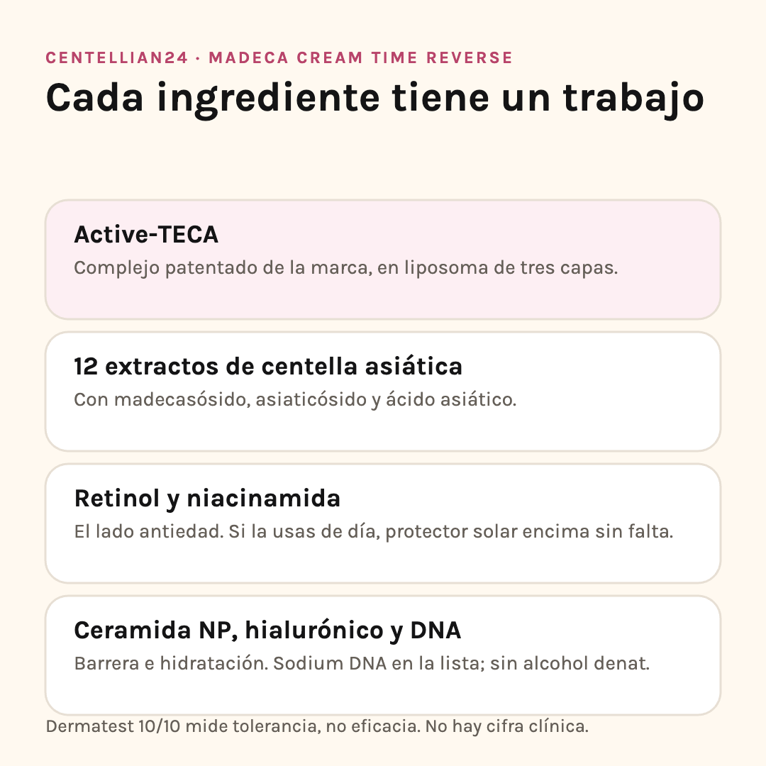 Ingredientes de Centellian24 Madeca Time Reverse: Active-TECA, centella, retinol, niacinamida y ceramida NP