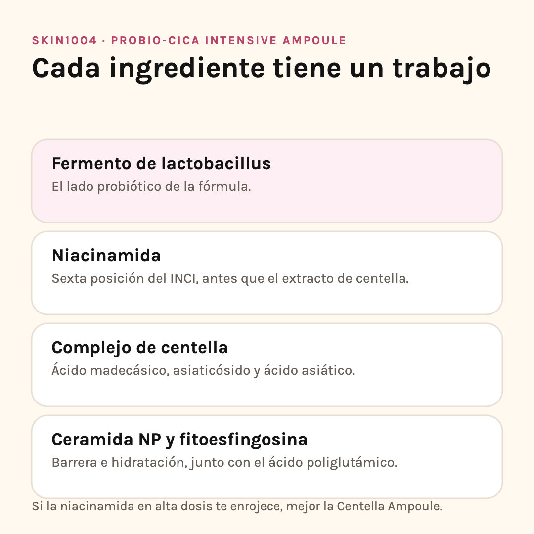 Ingredientes de la Probio-Cica Ampoule: fermento de lactobacillus, niacinamida, complejo de centella y ceramida NP con fitoesfingosina