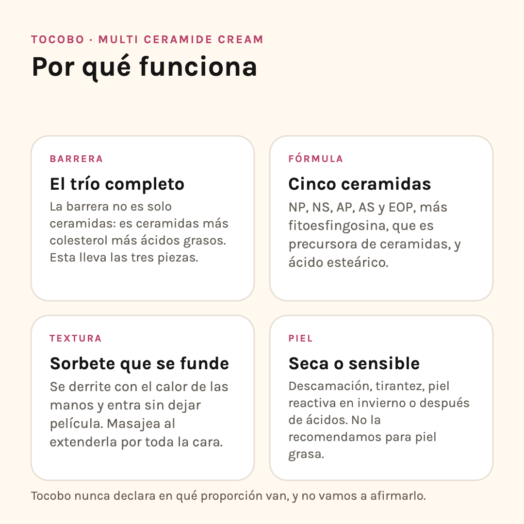 Por qué funciona la Multi Ceramide Cream: el trío completo de la barrera, cinco ceramidas, textura sorbete y para qué piel es