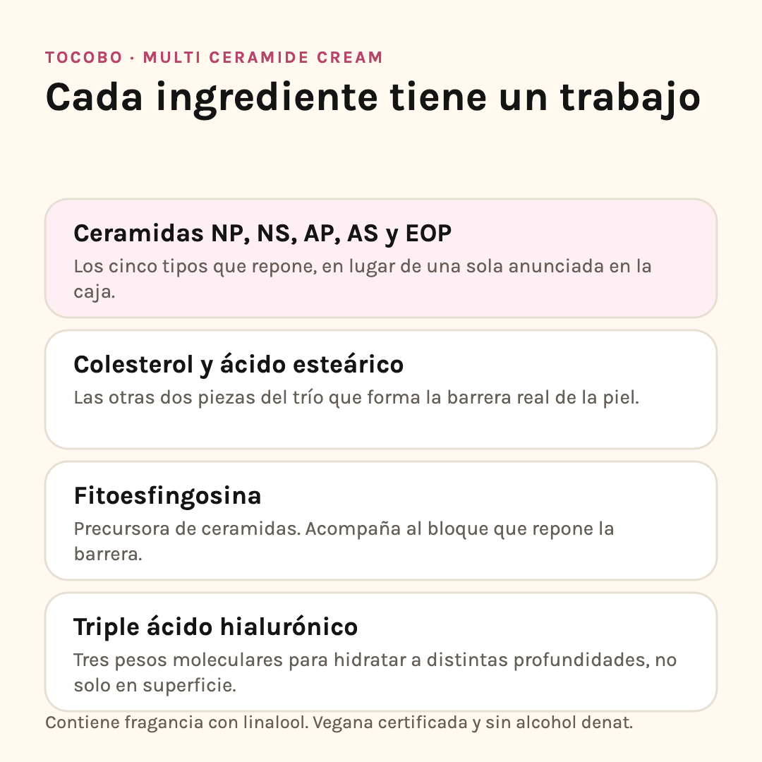 Ingredientes de la Multi Ceramide Cream: cinco ceramidas, colesterol y ácido esteárico, fitoesfingosina y triple ácido hialurónico