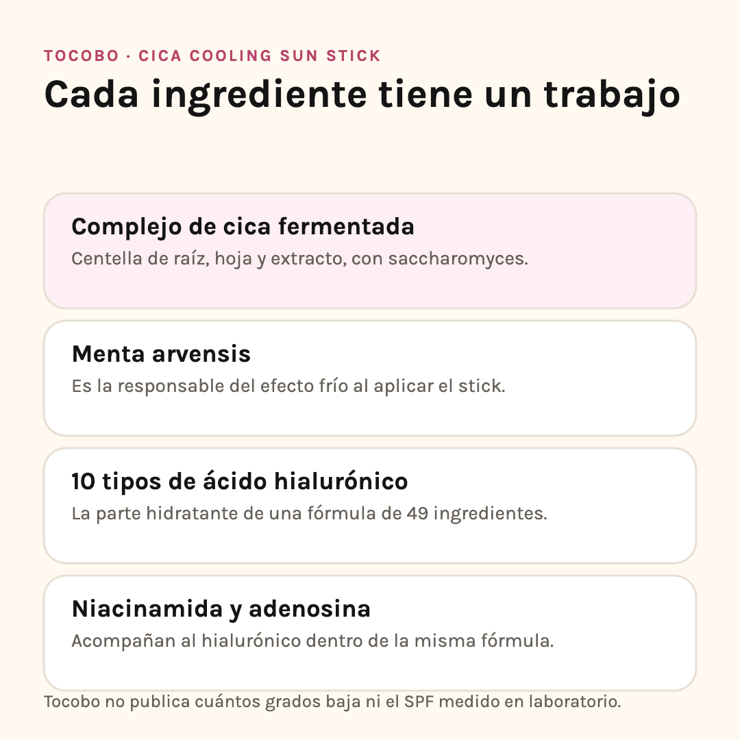Ingredientes del Cica Cooling Sun Stick: complejo de cica fermentada, menta arvensis, diez tipos de ácido hialurónico y niacinamida con adenosina