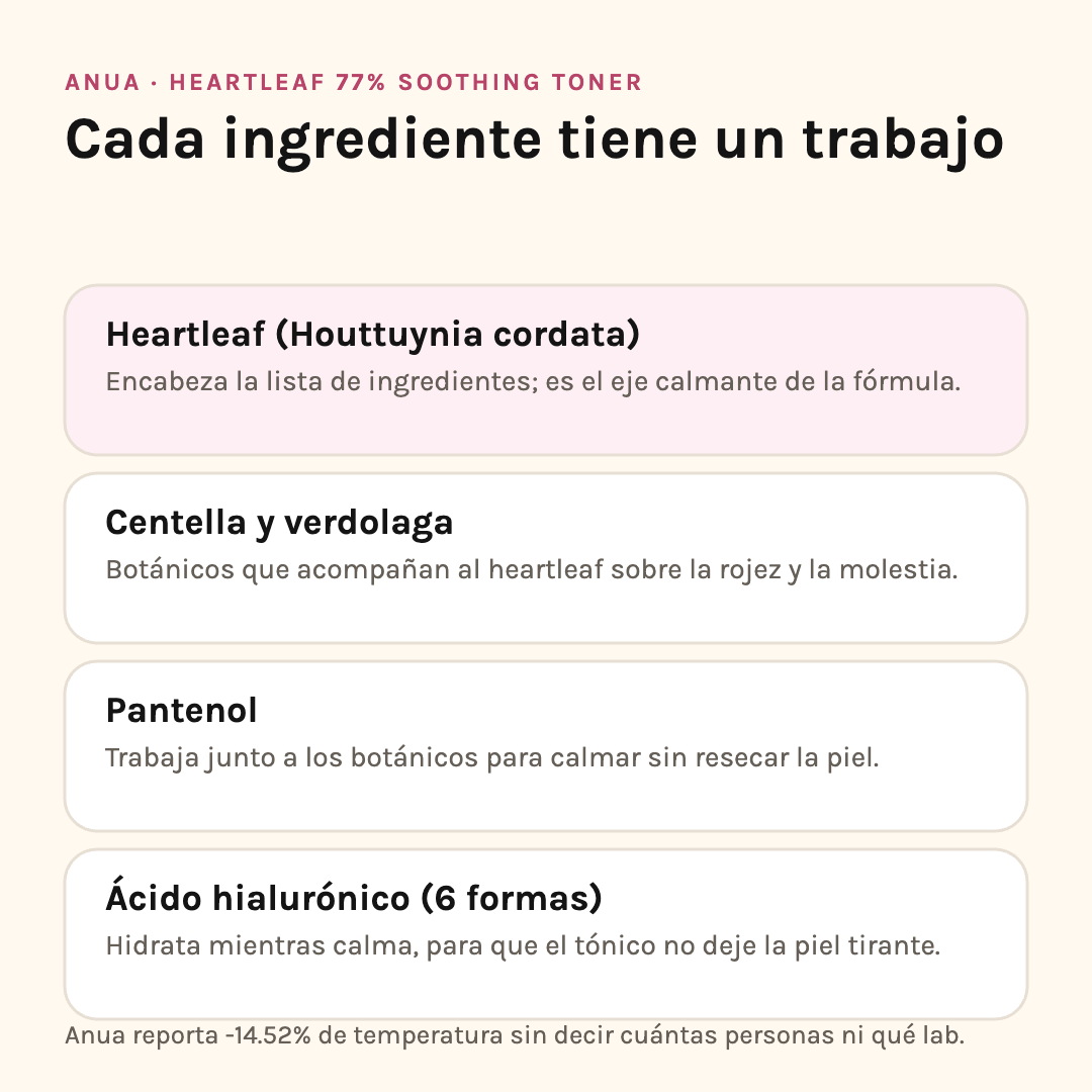 Ingredientes del Heartleaf Soothing Toner: heartleaf, centella y verdolaga, pantenol y ácido hialurónico en seis formas