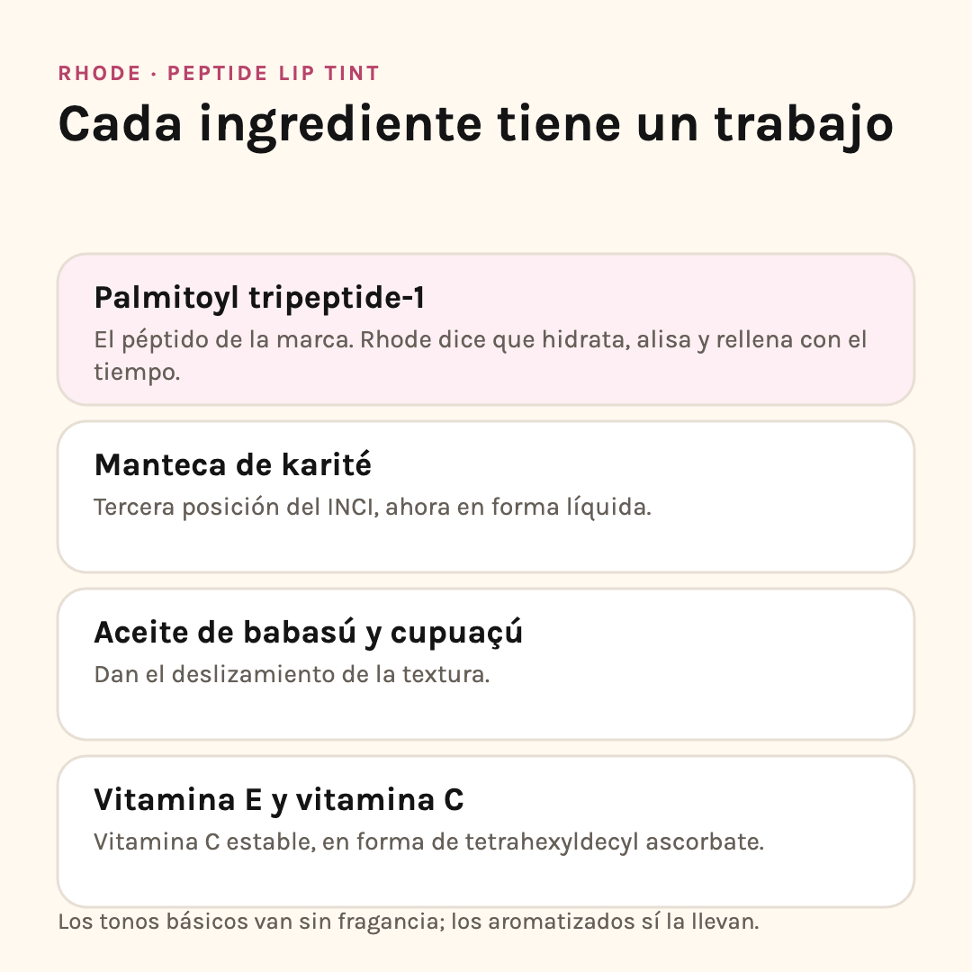 Ingredientes del Peptide Lip Tint: palmitoyl tripeptide-1, manteca de karité, aceite de babasú y cupuaçú, vitamina E y vitamina C